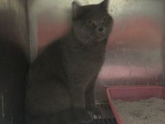 -伟伟宠物医院·CT影像中心·瑞派犬猫综合性门诊(汉口总院)