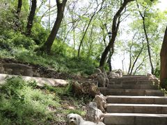 -句容茅山景区