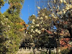 -昆明市金殿名胜区