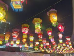 -锦江乐园舞狸花花游园会(夜场专享)