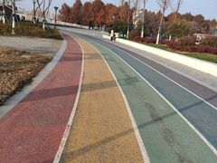 -贡湖湾湿地公园