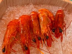 -春润大地海南椰子鸡(沙井京基百纳广场店)