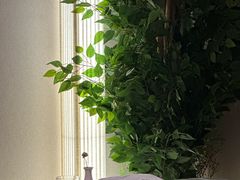 -大鱼·养生·禅洗头疗·按摩SPA