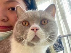 -我爱猫咪·猫咖·狗咖·安哥拉兔·羊驼咖(小寨华旗店)