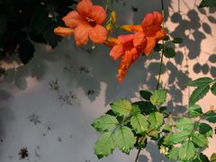 -无锡惠山寺