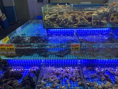 -大东海海鲜酒楼(渔人码头总店)