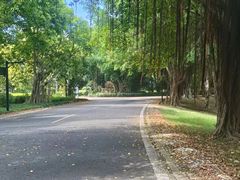 -福建鲤鱼洲酒店