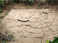 -呀路古热带植物园-恐龙馆