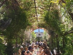 -The Grounds of Alexandria