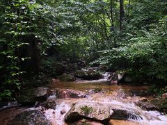 -洛阳白云山景区