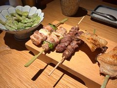 -鳥焱商店(王府大街店)