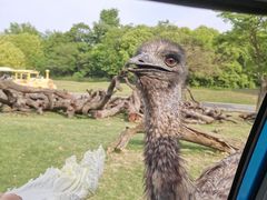 -常州淹城野生动物世界