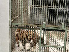 -合肥野生动物园