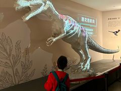 -自贡恐龙博物馆