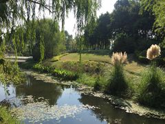景点-尚贤河湿地