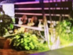 -郑州银基黄帝宫御温泉