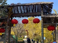 -遵化市禅林寺古银杏风景园