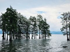 -大理洱海