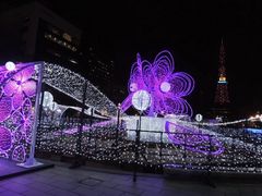 -大通公园