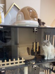 -花系美·美甲美睫精品店