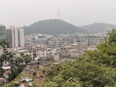 -韦记牛杂汤(清晖园店)
