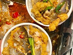 -黑猫馋纸包鱼(阳光店)
