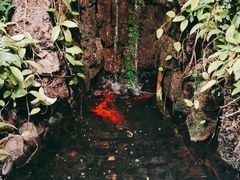 -颐而康·按摩·艾灸·足疗(武陵大道店)