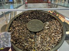 -巴奴毛肚火锅(二七万达店)