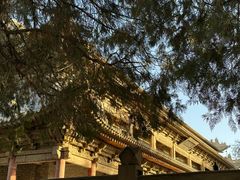 -张掖大佛寺景区