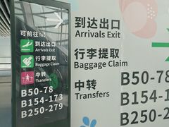 -广州白云国际机场-T2航站楼