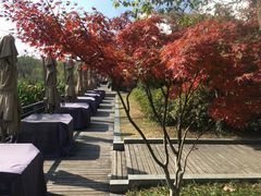 -西湖风景区-江洋畈生态公园