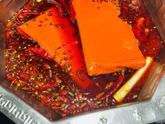 红锅底-蜀九香火锅(九眼桥店)