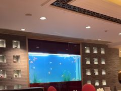 -阳澄湖费尔蒙酒店颐丰阁中餐厅(马鞍山西路店)