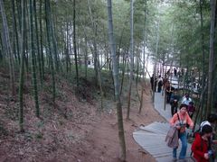 -天目湖山水园