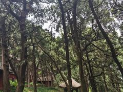 -七曲山风景区