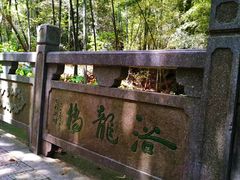 -杭州半山国家森林公园