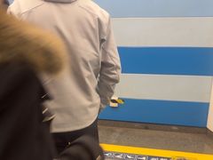 -大望路(地铁站)