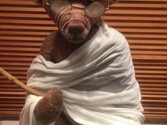 -济州岛泰迪熊博物馆