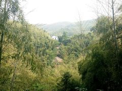-山沟沟景区