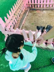 -萌宠亲子动物乐园(槐房万达店)