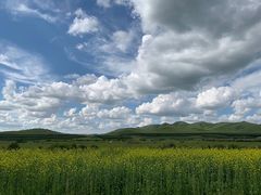 -塞罕坝国家级自然保护区