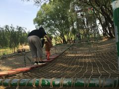 -东方巨龟苑景区