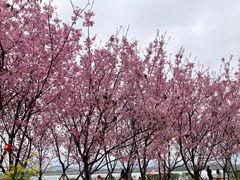 -福建鲤鱼洲酒店