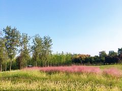 -汉长安城未央宫国家考古遗址公园