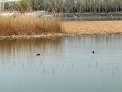 -素心小筑(后沙裕镇店)