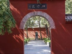 -洛阳白马寺