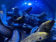 -成都浩海立方海洋公园