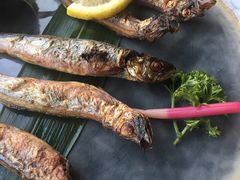 -石葵(锦业时代店)