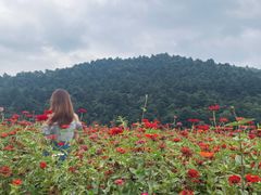 -玉华宫景区