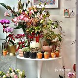 老城區街頭の『馬桶』造型Cafe🚽🚽🚽